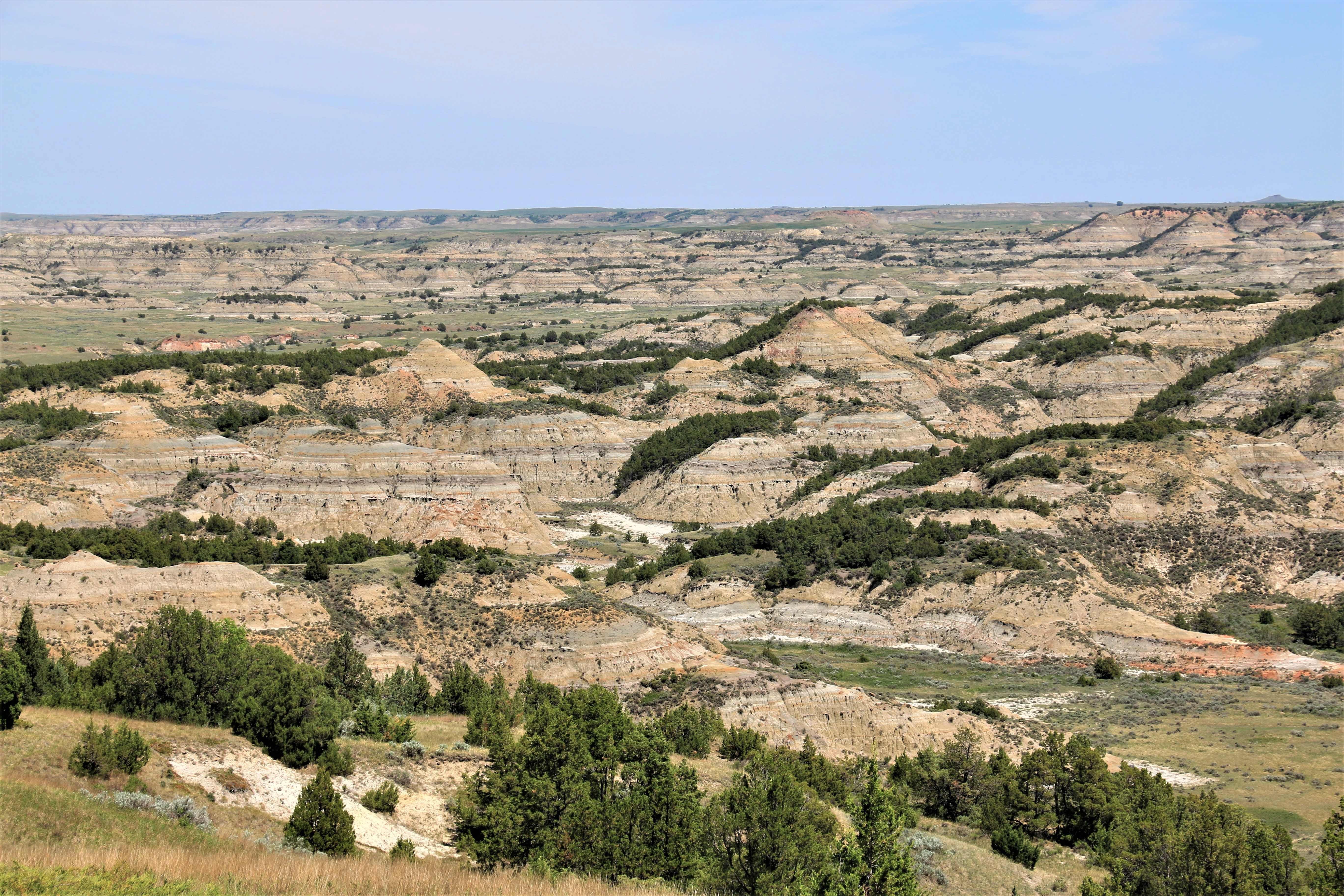 Theodore Roosevelt NP